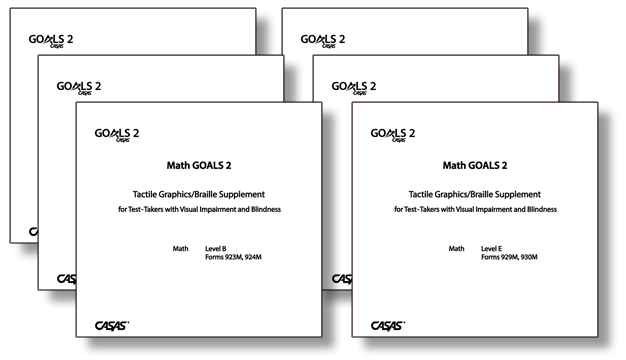 Math-GOALS-2-Tactile-Graphics-Braille-Supplement