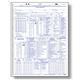  Entry/Test Record (set of 100)