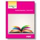 Reading GOALS 2 Appraisal Test Booklet Form 919RAL, Large Print (1 booklet)
