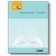 Large Print Appraisal Test Booklet Reading GOALS Form 900RL